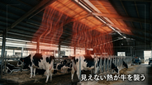 輻射熱──目に見えない"もう一つの暑さ"