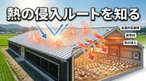 強い日射を受ける折板屋根の鶏舎と熱の侵入経路を示す図解